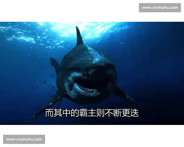 深海霸主对决鲸鱼与章鱼的力量智慧生存之战揭秘全景观察解析真相